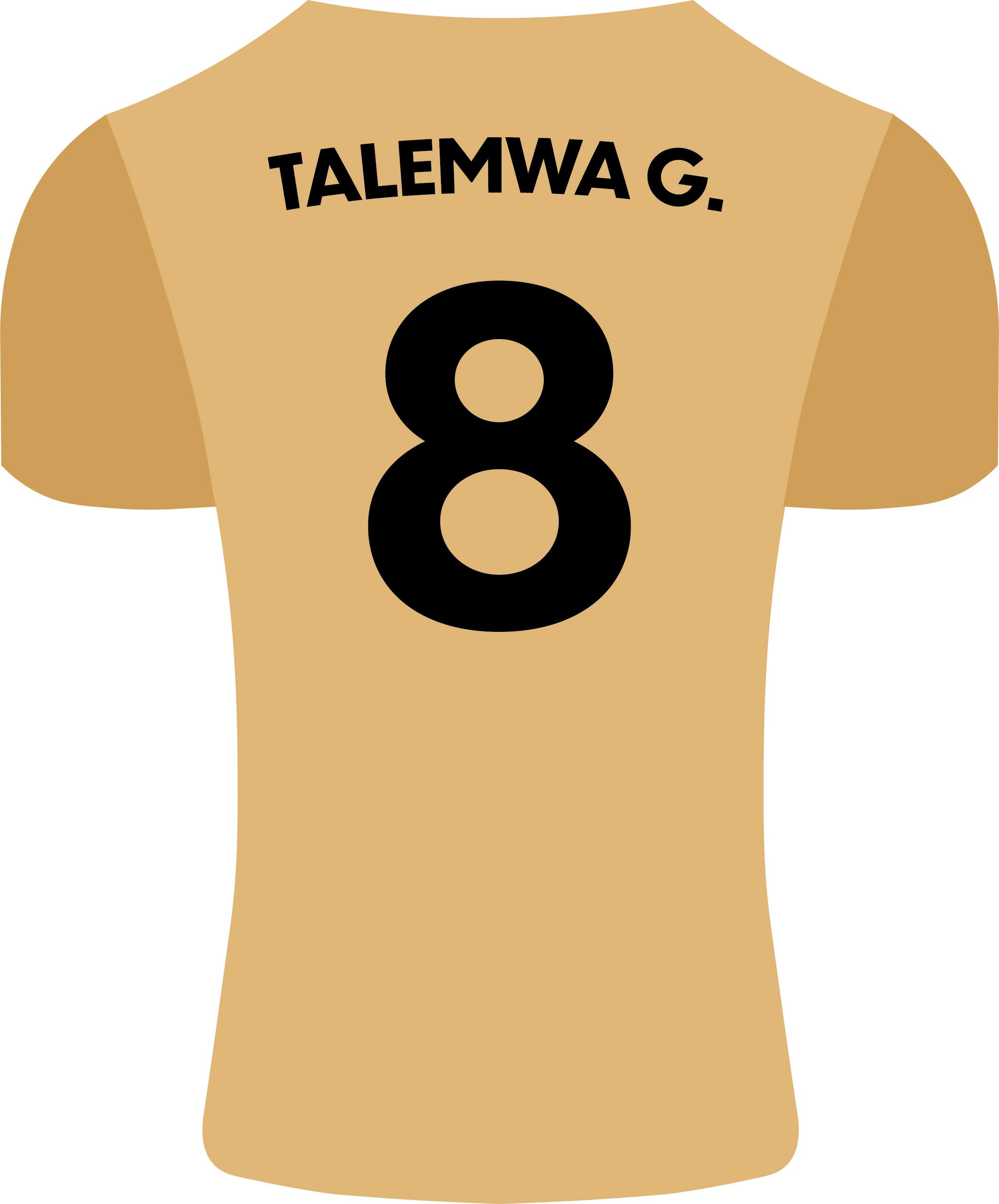 Team of the Year player 5